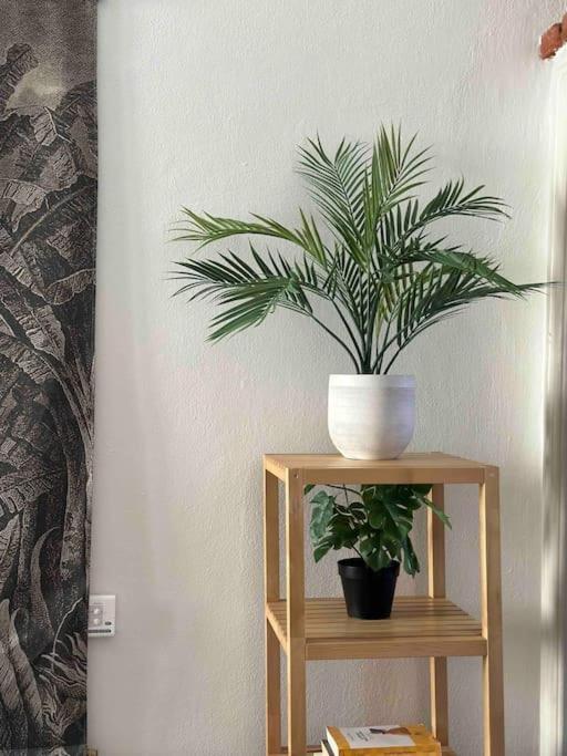 Xenia Apartments - Charming Garden Suite In Porta Venezia มิลาน ภายนอก รูปภาพ